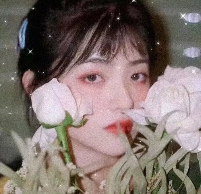 冰美人